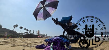 Strictly Wild Rainbow Checker Beach Bag Review