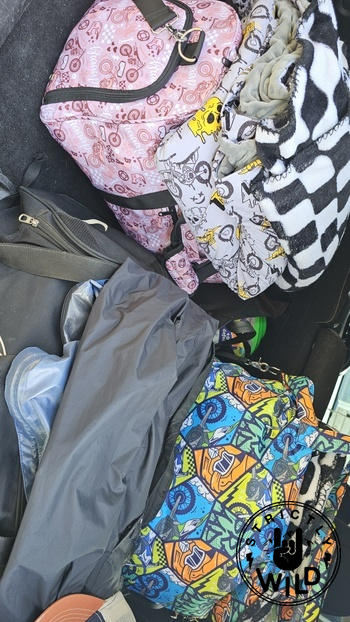 Strictly Wild Vibrant Velocity Beach Bag Review