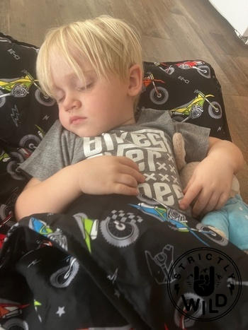 Strictly Wild Bike Life Nap Mat Review