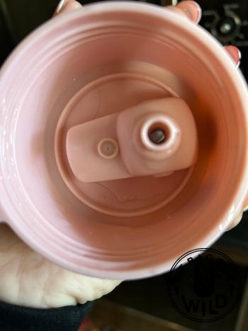 Strictly Wild 22oz & 32oz Replacement Lid & Straw Review