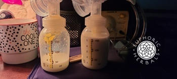 Euphoric Herbals Milk Machine & Dairy Diva Bundle Review