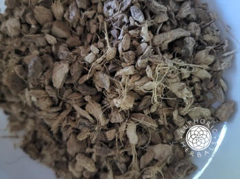 Euphoric Herbals Ginger Root Review