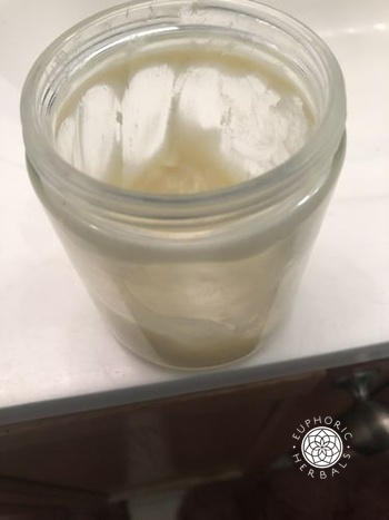 Euphoric Herbals Shea Nut Butter Review