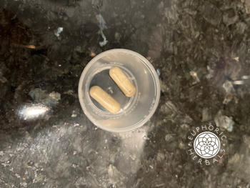Euphoric Herbals Dairy Diva Review