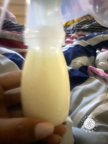 Euphoric Herbals Milky Mama Tea Review