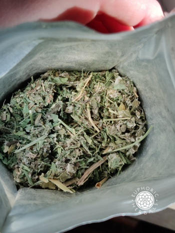 Euphoric Herbals Milky Mama Tea Review