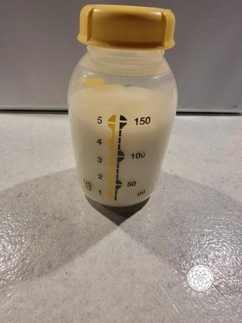 Euphoric Herbals Lush Leche Review