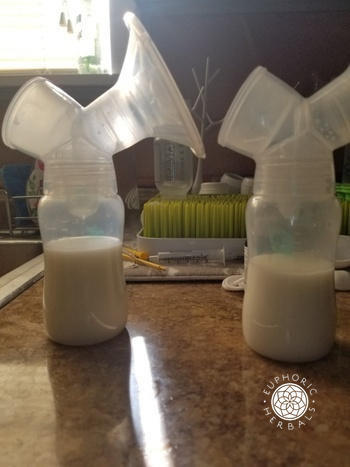 Euphoric Herbals Lush Leche Review