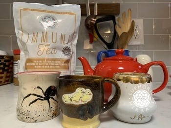 Euphoric Herbals ImmuniTea Review