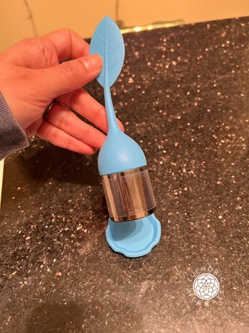 Euphoric Herbals Leaf Tea Steeper Review