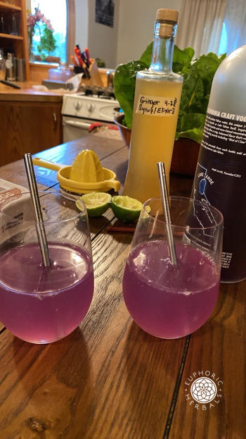Euphoric Herbals Butterfly Pea Flower Review