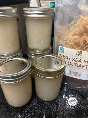Euphoric Herbals Gold Irish Sea Moss Review