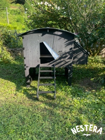 Nestera EU Chicken Coop Review