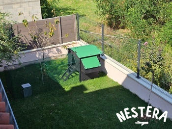 Nestera EU 2m Run for Large Penthouse coop Review