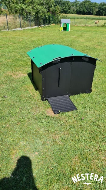 Nestera EU Duck House Review