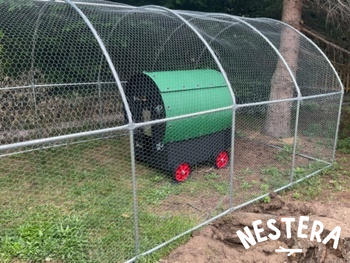 Nestera EU The Wagon Review