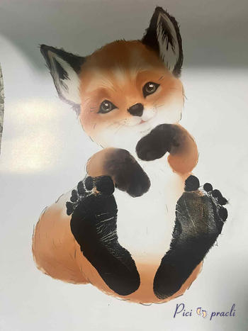 Picipracli webshop Review