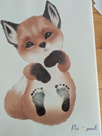 Picipracli webshop Review