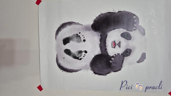 Picipracli webshop Review