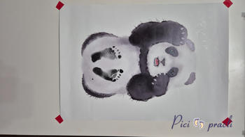 Picipracli webshop Review