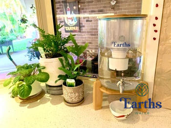 Earths Water 9L Glass Benchtop Alkaline Water Filter - White Bamboo Review