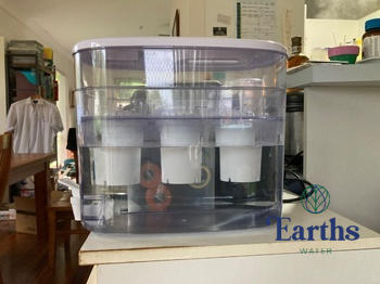 Earths Water Core 01 Replacement Alkaline Water Filter Cartridge Review