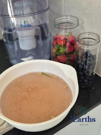 Earths Water 9L Multi-Filter Benchtop Alkaline Water Filter Review