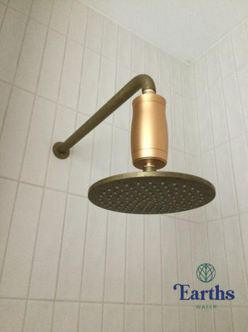 Earths Water Premium Shower Filter Water Purifier & Water Softener - Black Review