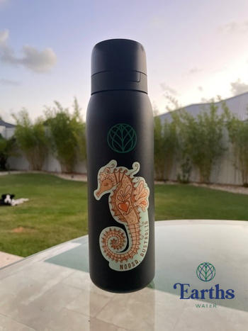 Earths Water Ultra Stainless Steel Water Filter Bottle + Nature Filter Review