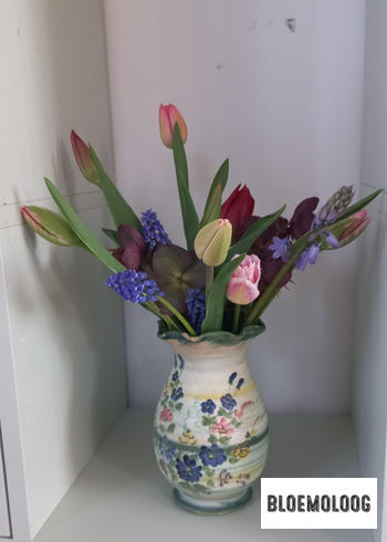 Bloemoloog Organic Tulipa 'Impression' mix | 30 pieces Review