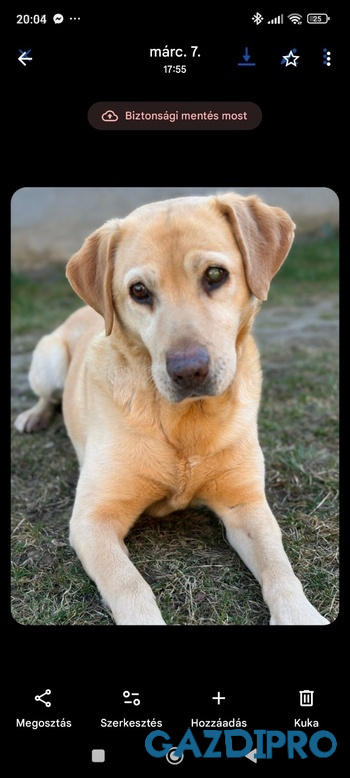 GazdiPro NORDCANIN VITARIOR ízületvédő folyadék Review