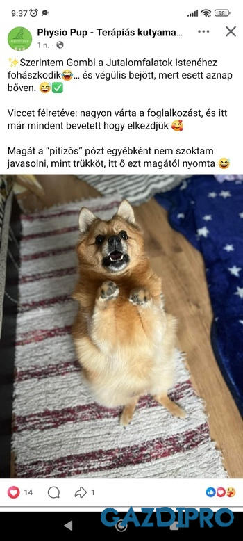 GazdiPro NORDCANIN VITARIOR ízületvédő folyadék Review