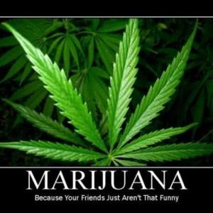 A PetDoors.com Customer