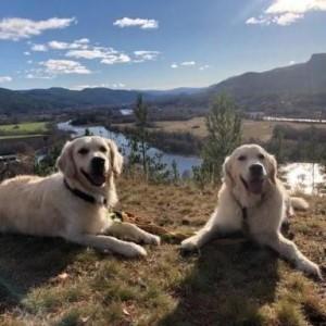 A Alpaknitwear.com Customer