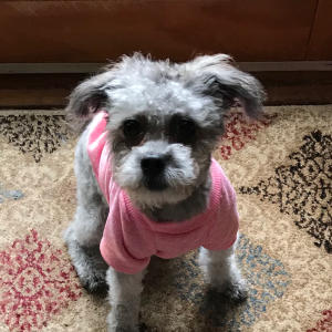 A NailzKatKat Customer
