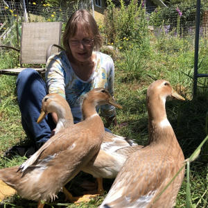 A New England Cheesemaking Supply Company Customer