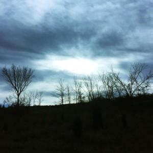 A The Ayurveda Experience Customer