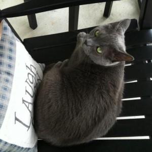 A aromapure Customer