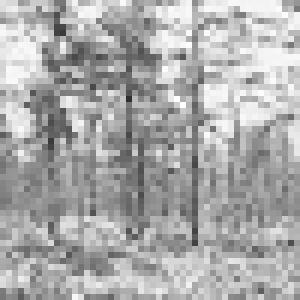 A Light Elegance Customer