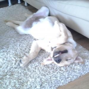 A Simply Cushions Customer