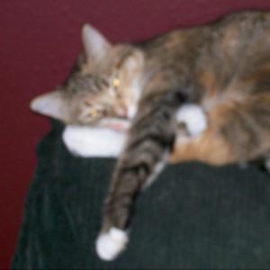 A aromapure Customer