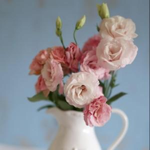 A Simply Cushions Customer