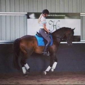 A Cavallo Equestrian Wa Customer