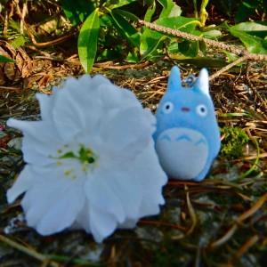 A Happy Earth Tea Customer