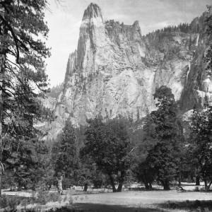 A CordaRoy's Customer