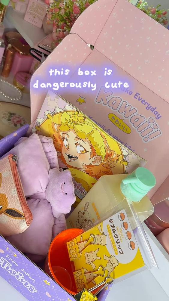 YumeTwins: The Monthly Kawaii Subscription Box Straight from Tokyo