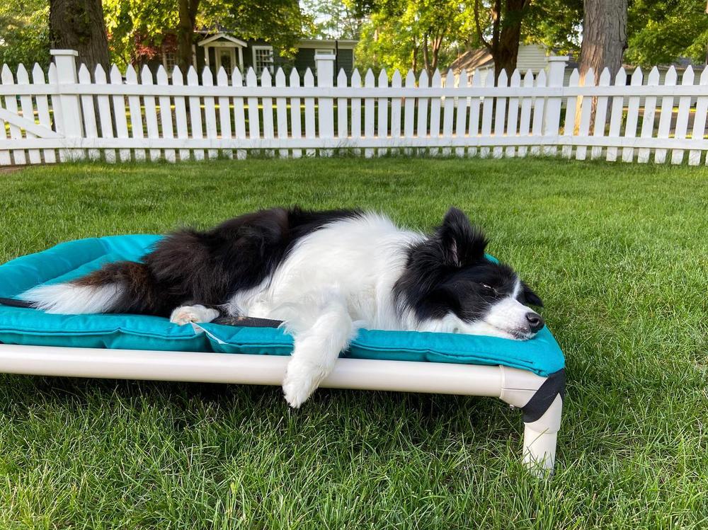 Digitální fritéza s objemem 8 litrů