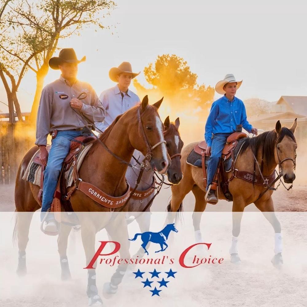 horse riding online shop