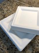 Select Settings 100 pc. White Square Compost Plates:  Eco-Friendly & Disposable 50 Dinner Plates and 50 Salad Plates Review