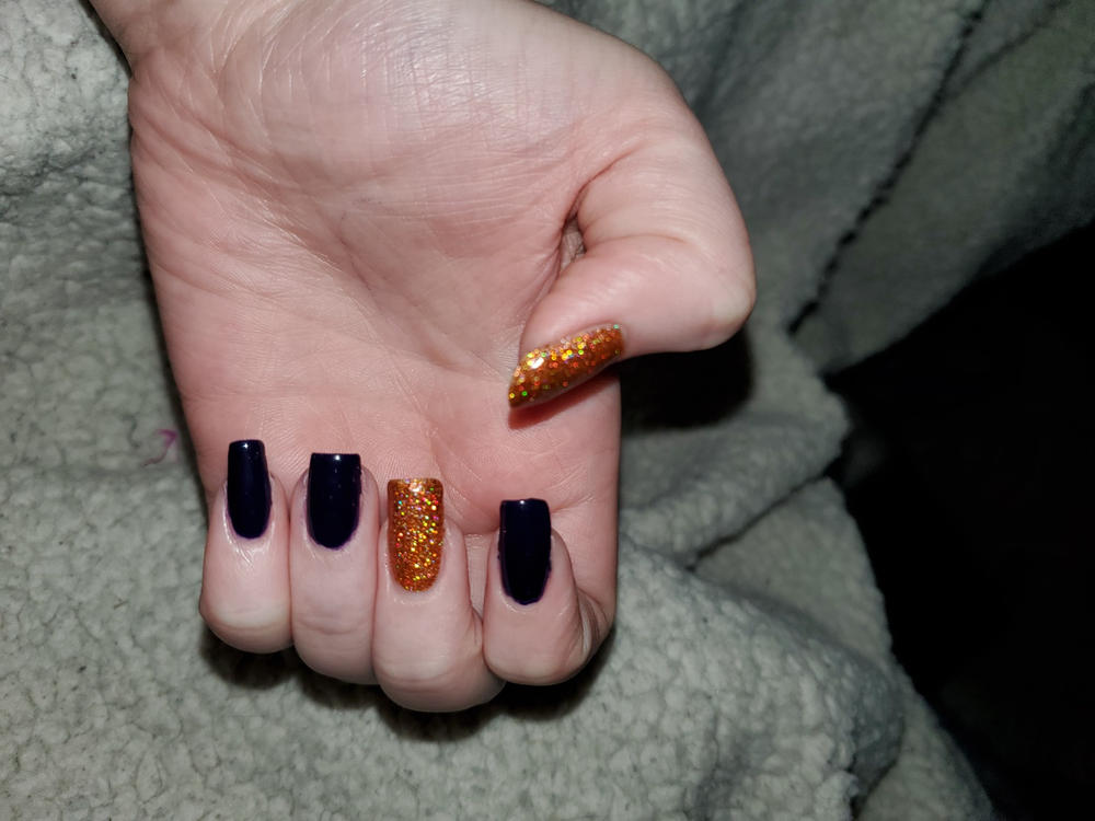 Zyler The Cat Holo Taco